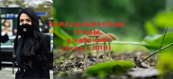 крисы Абинск