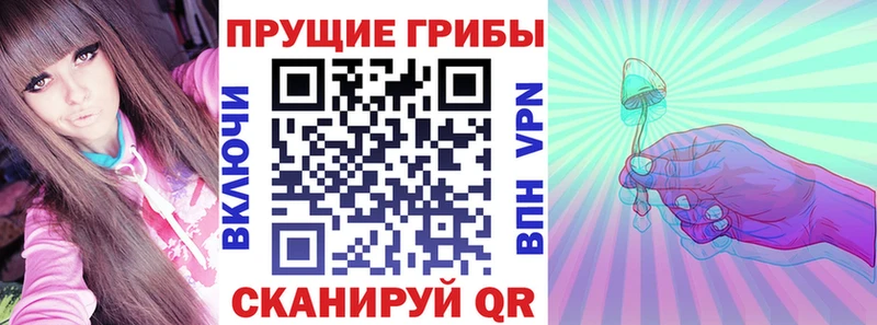 Галлюциногенные грибы мицелий  продажа наркотиков  Котлас 