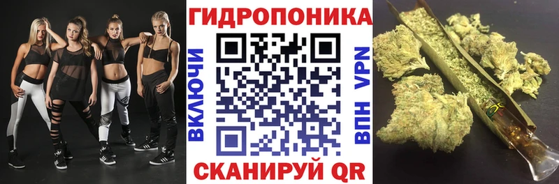 Шишки марихуана LSD WEED  хочу   Котлас 